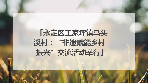 永定区王家坪镇马头溪村：“非遗赋能乡村振兴”交流活动举行